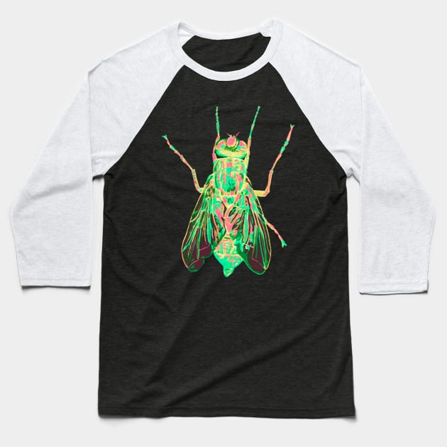 House Fly 2 Baseball T-Shirt by RaLiz